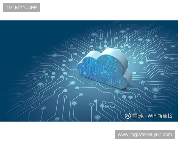 开云平台优势：保障游戏安全稳定运行的技术保障与风险控制措施